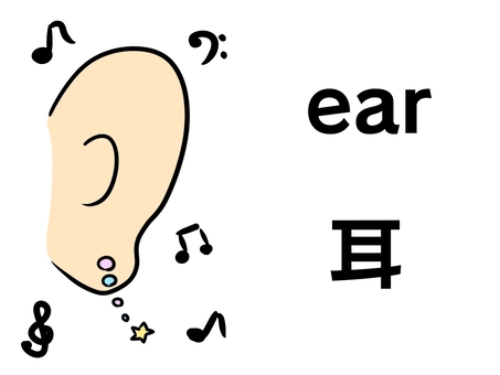 ear, ear, english, japanese, JPG and PNG