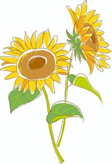 sunflower, plant, sunflower, stem, JPG and EPS