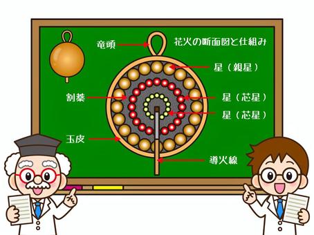 花火玉の断面図の説明をする博士と助手 花火玉,断面図,玉,花火,火薬,球体,竜頭,割薬,玉皮,星のイラスト素材