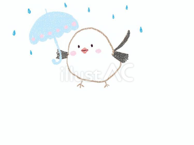 雨降りシマエナガ シマエナガ,6月,雨のイラスト素材