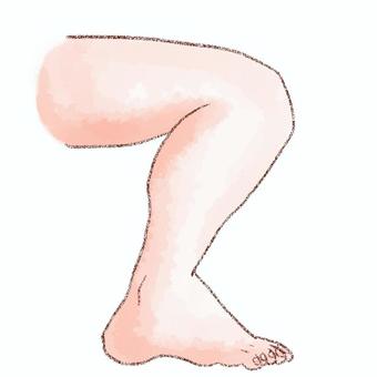 右脚　外側 脚,右,外側,水彩,鉛筆,足,指のイラスト素材