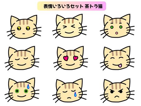 かわいい猫の顔表情いろいろセット＿茶トラ 猫,顔,表情,クエッション,？,わからない,理解不能,はてな,笑顔,驚くのイラスト素材