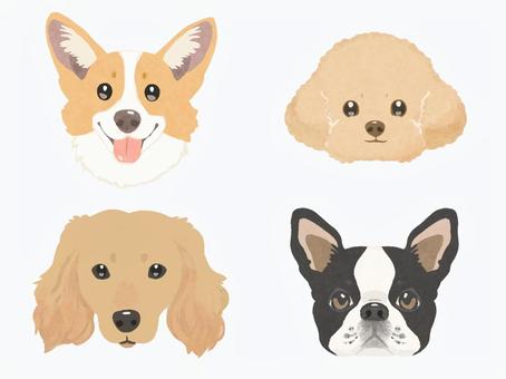 犬の顔 犬の顔,犬,コーギー,プードル,ダックスフント,フレンチブルドッグ,犬イラスト,犬素材,アイコン,アイキャッチのイラスト素材