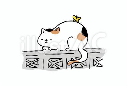 三毛猫 寝る