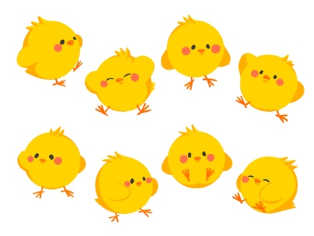 手描き風 ひよこセット1 ひよこ,手描き風,かわいい,動物,鳥,セットのイラスト素材