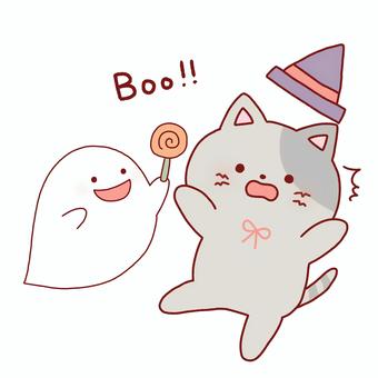 おばけに驚く猫