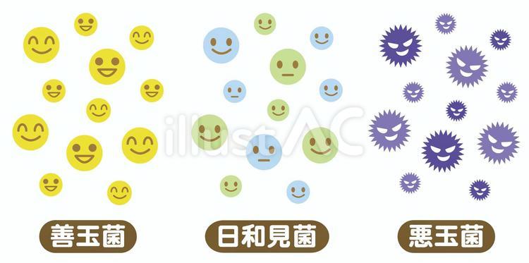 善玉菌と日和見菌と悪玉菌の説明イラスト 善玉菌,悪玉菌,日和見菌のイラスト素材
