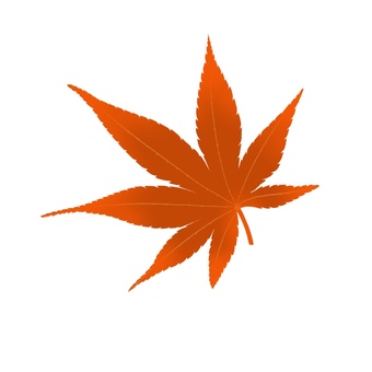 紅葉　きれいな赤　手描き 紅葉,もみじ,赤,紅,秋,きれい,手描きのイラスト素材