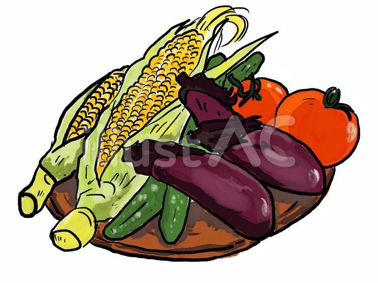 夏野菜 夏野菜,野菜,直売所のイラスト素材