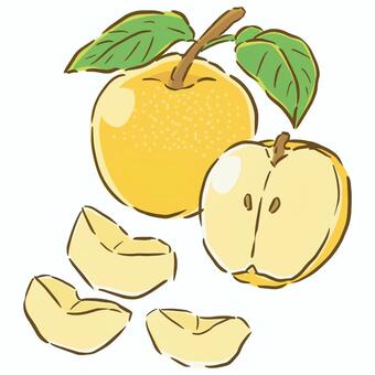 pear, lê, quả, quả, JPG, PNG và AI