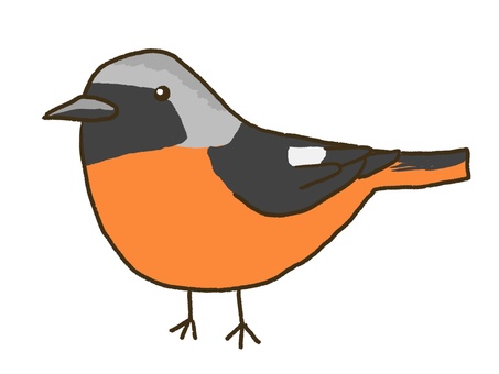 ジョウビタキ ジョウビタキ,鳥,動物,生き物,くちばし,翼,小鳥,かわいい,シンプル,1羽のイラスト素材