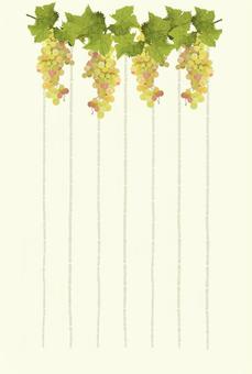 White grape postcard vertical (vertical ruled line), grape, fruit, wine, JPG and PNG