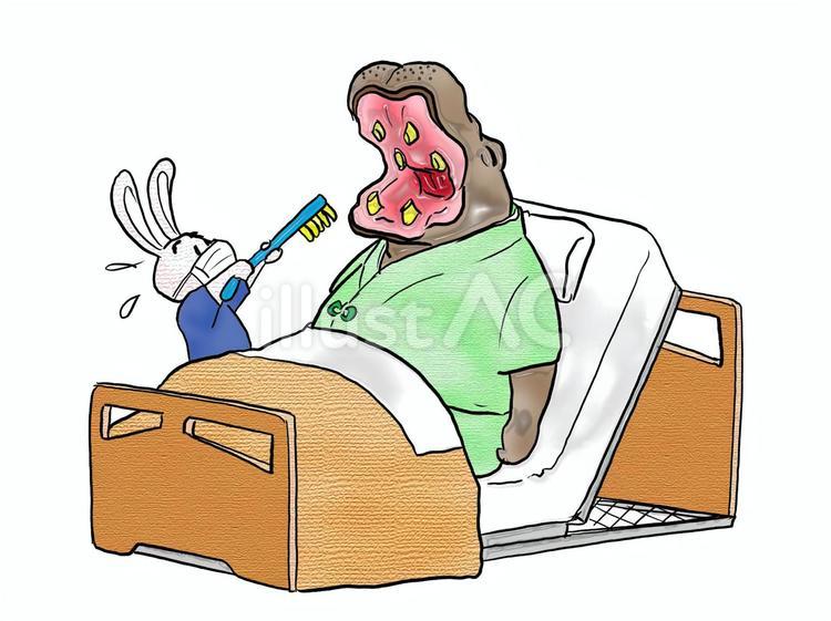 もうちょっと、下向いてくださいね 動物,カバ,ウサギのイラスト素材