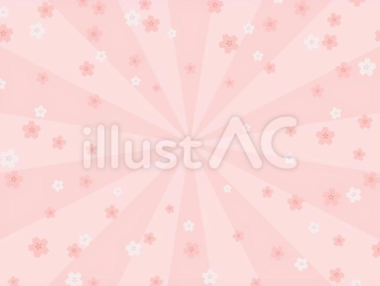 桜の集中線背景・ピンク 背景,桜,春のイラスト素材