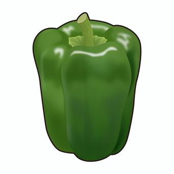 ピーマンのリアルテイストイラスト ピーマン,野菜,夏野菜,食べ物,料理,食育,献立,レシピ,健康,ヘルシーのイラスト素材