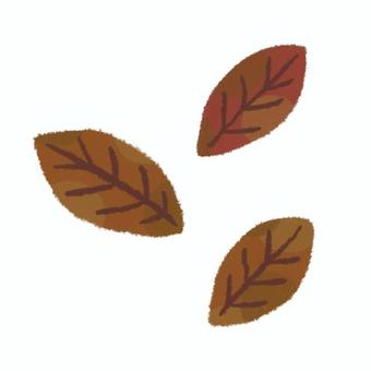 落ち葉