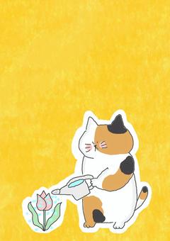 水やりする三毛猫ちゃん 水やりする三毛猫ちゃん かわいい,水やり,水,あげる,ガーデン,ガーデニング,園芸,育てる,花,フラワーのイラスト素材