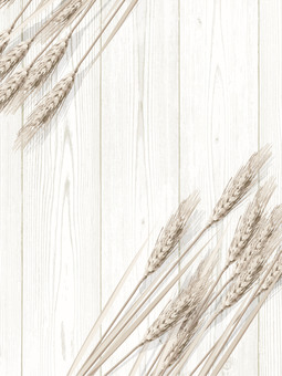 小麦色の麦穂と板の背景2　mugi009 麦穂,小麦色,リアル,ナチュラル,お洒落,自然,植物,大人っぽい,枠,背景のイラスト素材