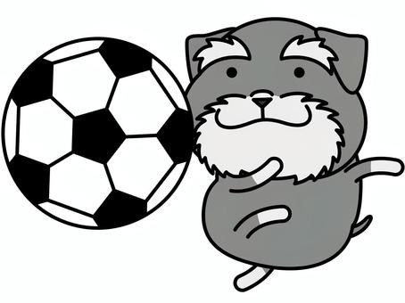 schnauzer soccer, football, schnauzer, ball, JPG, PNG and EPS