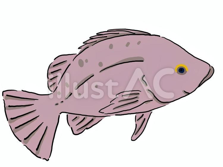 Rockfish, JPG, PNG and AI Rockfish, eagle opinion, フサカサゴ科, meval, JPG, PNG and AI