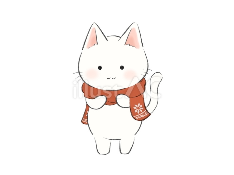 マフラーを巻いた白猫 動物,冬,猫のイラスト素材