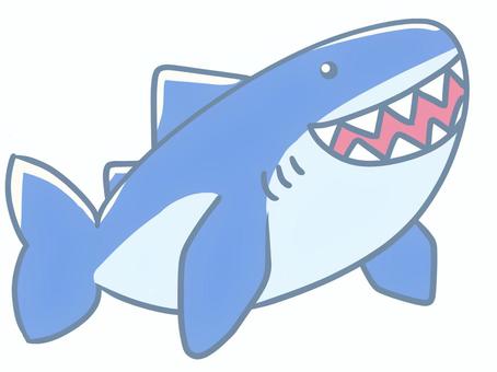 サメ サメ,動物,可愛い,癒し,海,水族館,水のイラスト素材