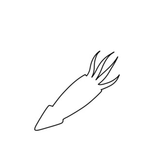squid, JPG and PNG squid, squid, seafood, silhouette, JPG and PNG