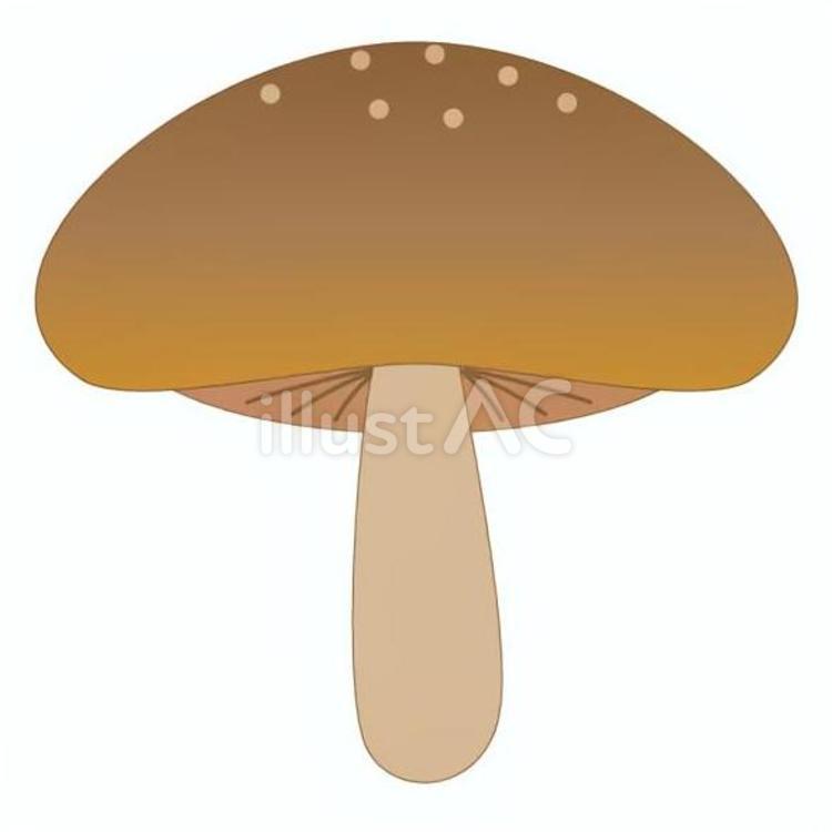 椎茸（しいたけ） キノコ,きのこ,椎茸のイラスト素材