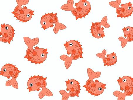 Illustration, red snapper, fish, creatures, 