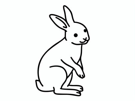 うさぎ(立ち姿) うさぎ(立ち姿) うさぎ,ミニうさぎ,ネザーランドドワーフのイラスト素材
