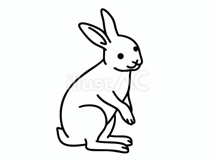 うさぎ（立ち姿） うさぎ,ミニうさぎ,ネザーランドドワーフのイラスト素材