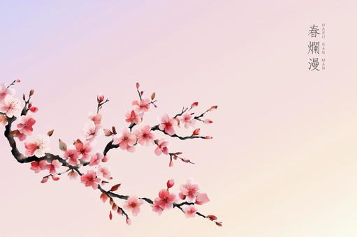 Illustration of cherry blossoms and branches, , JPG, PNG and AI