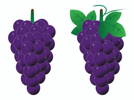 ぶどう_セット ぶどう_セット ぶどう,巨峰,ブドウ,葡萄,果物,果実,フルーツ,食べ物,葉,植物のイラスト素材