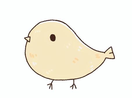 chick sideways, , JPG and PNG