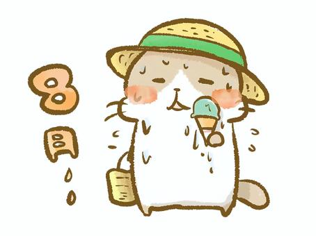 8月 ねこ,暑い,汗,アイス,熱い,麦わらぼうし,8月,夏,汗だく,汗をかくのイラスト素材