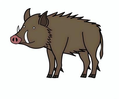 猪のイラストです。 イノシシ,動物,生き物,野生,牙,イラストのイラスト素材