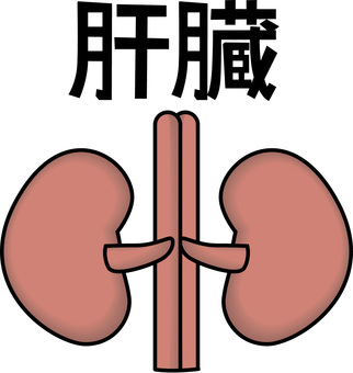 肝臓  肝臓  肝臓,内臓,臓器,内部,医療,人体,イメージ,漢字,線画のイラスト素材