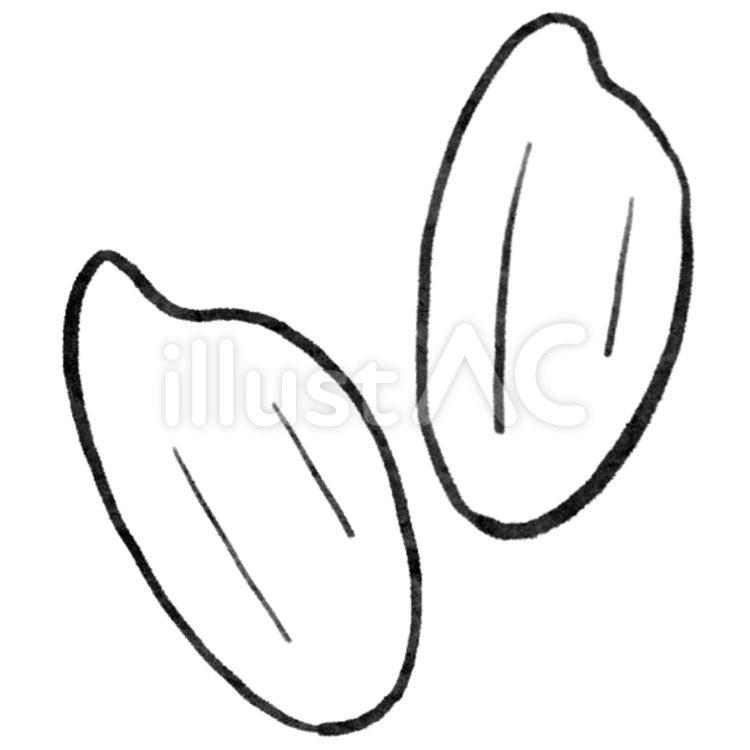 米粒(白米) 米,米粒,白米のイラスト素材
