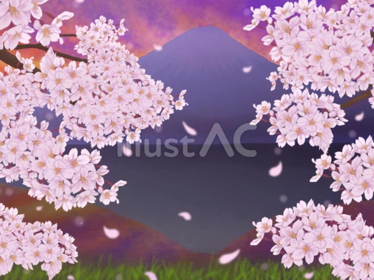 鮮やかな夕焼けと桜 富士山,山,桜のイラスト素材