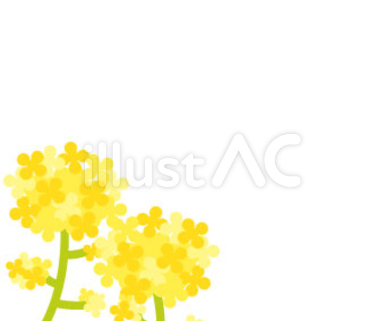 2017菜の花フレーム2 和やか,菜の花,可愛らしいのイラスト素材
