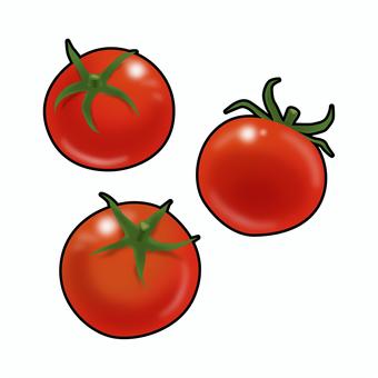 ミニトマトのリアルテイストイラスト ミニトマトのリアルテイストイラスト ミニトマト,野菜,夏野菜,リコピン,栄養,健康,食育,献立,レシピ,メニューのイラスト素材