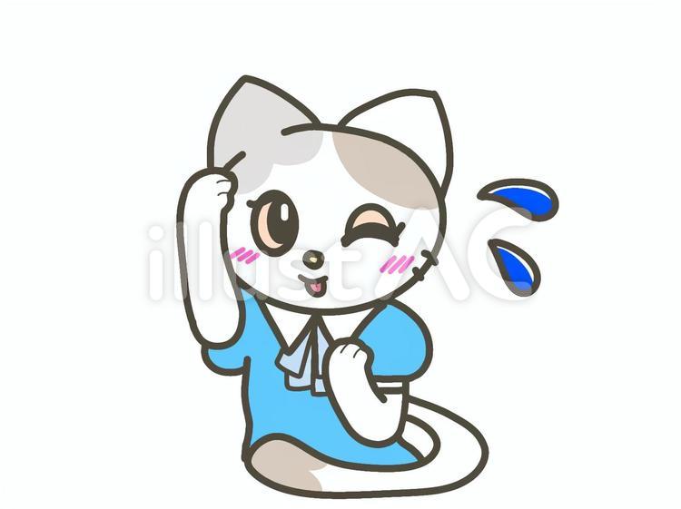 間違えて恥ずかしがっている猫 猫,間違える,恥ずかしいのイラスト素材