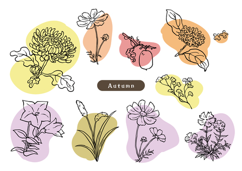 秋の花のペン画セットラフ着彩 線画,ラフ,ペン画,秋,花,植物,葉,オシャレ,スケッチ,あしらいのイラスト素材