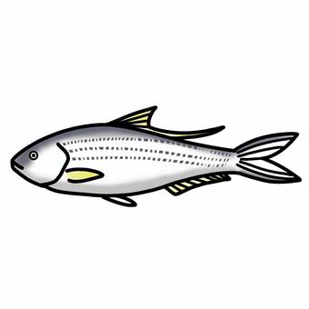 Illustration, conosillo, simple, tiny, 