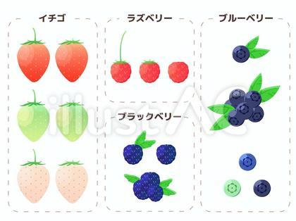 ベリー4種のイラスト セット