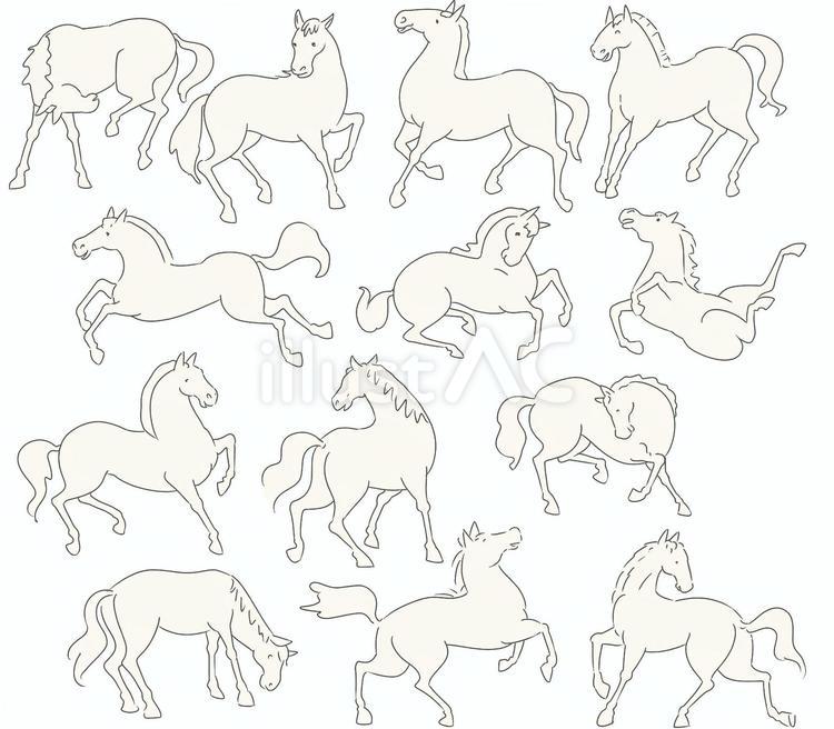 たくさんの馬　シンプル線画 馬,シンプル,線画のイラスト素材