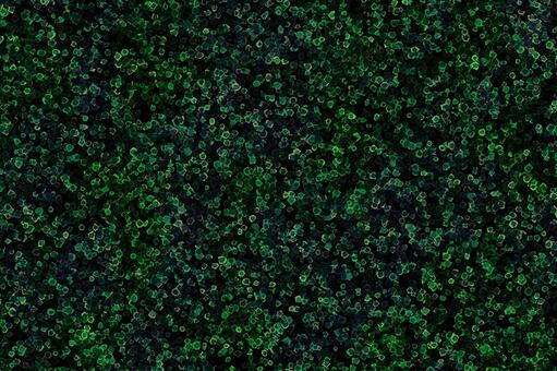 背景　細胞みたいな絵　01 背景,理科,生物,細胞,植物,観察,実験,学校,大学,授業のイラスト素材