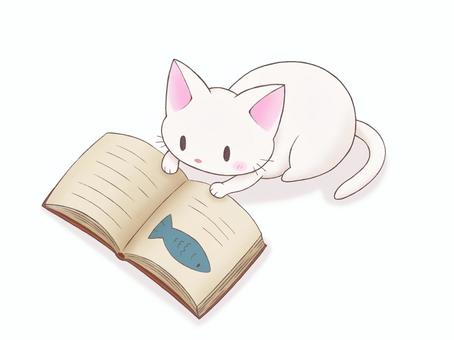 読書する白猫