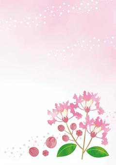 Illustration, yaz mevsimi, krep mersin, çiçek, 