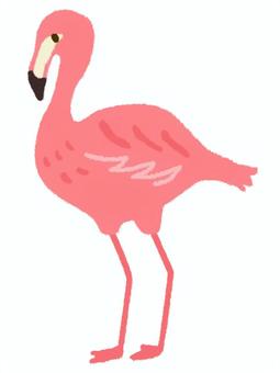 左に向いた可愛いピンクのフラミンゴ フラミンゴ,動物,鳥,水鳥,ピンク,羽根,動物園,くちばし,熱帯,一羽のイラスト素材